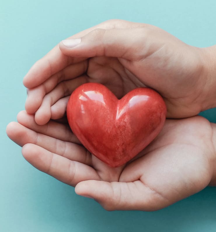 寄付で応援する