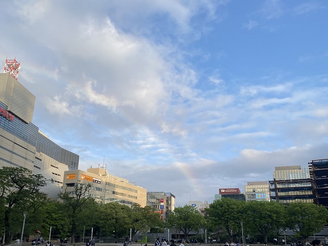 独りぼっちの意地っ張り。~当事者の思い~ 独りぼっちの意地っ張り。~当事者の思い~